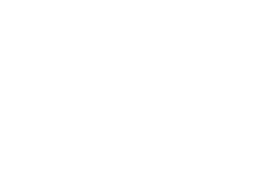 Avatars